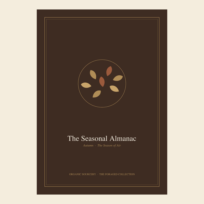 Organic Sourcery – The Seasonal Almanac: Autumn – Seasonal Ritual Guide