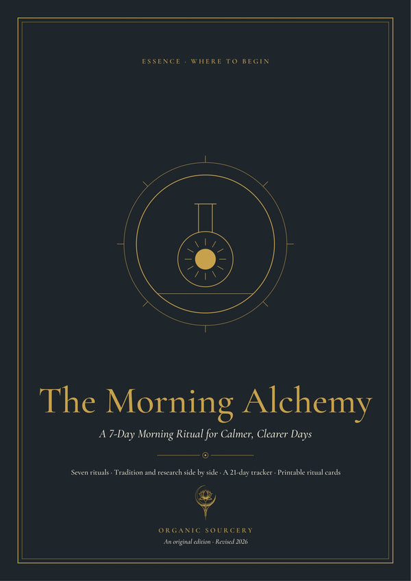 The Morning Alchemy